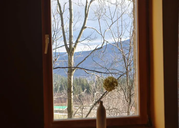 Willa Astor كارباش